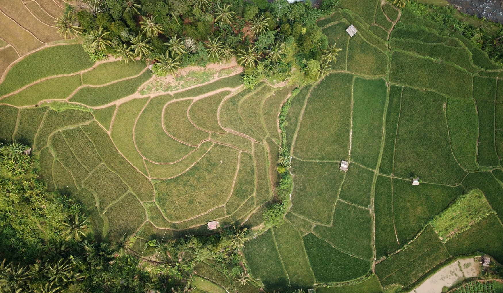 Aerial photograph of a group of fields during the day