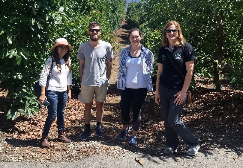 4 people standing between 2 rows of trees on a farm